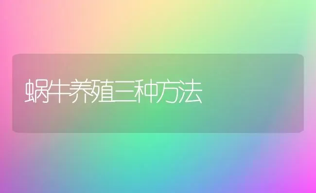 蜗牛养殖三种方法 | 养殖知识