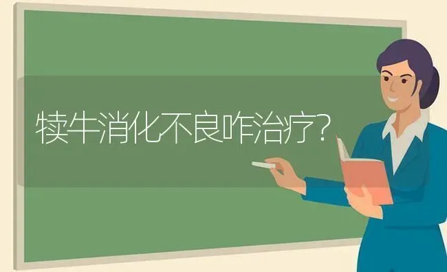 犊牛消化不良咋治疗? | 养殖技术大全