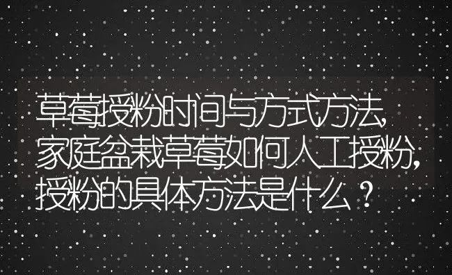 草莓授粉时间与方式方法,家庭盆栽草莓如何人工授粉，授粉的具体方法是什么？ | 养殖科普