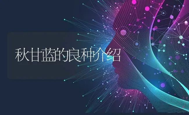 秋甘蓝的良种介绍 | 养殖技术大全