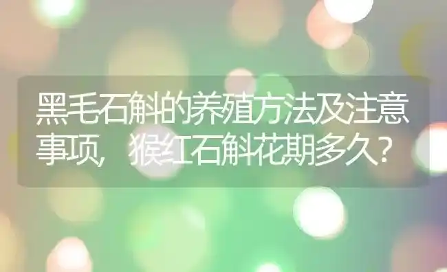 黑毛石斛的养殖方法及注意事项,猴红石斛花期多久？ | 养殖科普