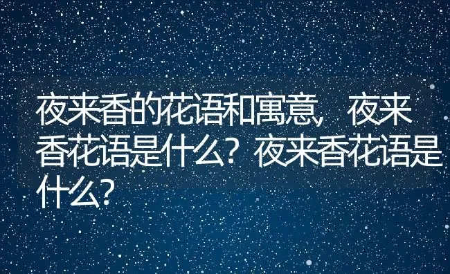 夜来香的花语和寓意,夜来香花语是什么？夜来香花语是什么？ | 养殖科普