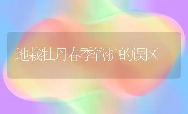 地栽牡丹春季管护的误区 | 养殖技术大全