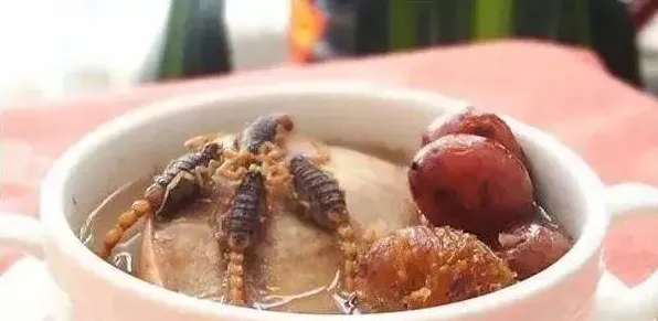 蝎子泡酒的功效与作用介绍 | 生活常识