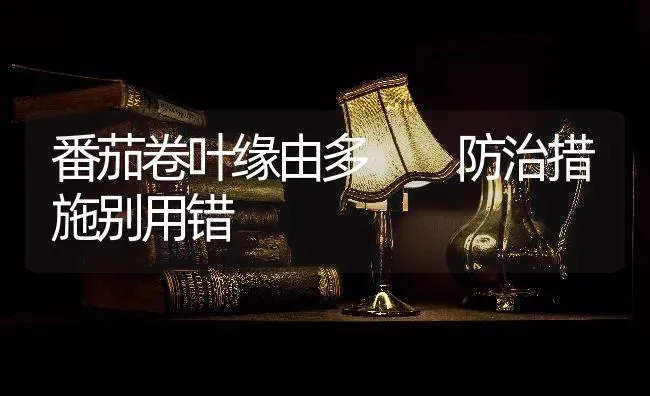 番茄卷叶缘由多  防治措施别用错 | 养殖技术大全