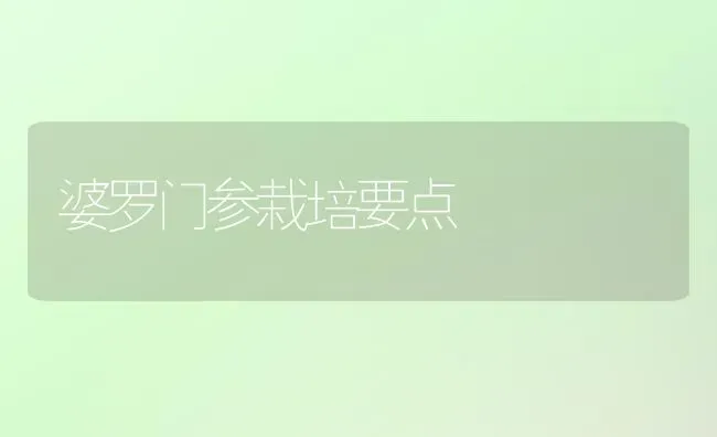 婆罗门参栽培要点 | 养殖技术大全