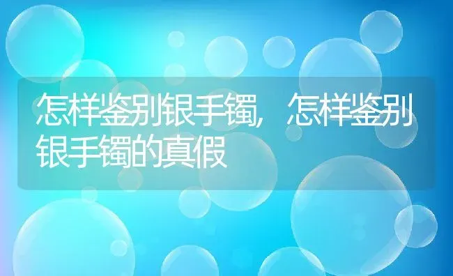 怎样鉴别银手镯,怎样鉴别银手镯的真假 | 养殖科普