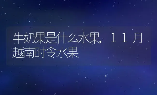 牛奶果是什么水果,11月越南时令水果 | 养殖学堂