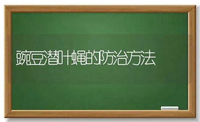 豌豆潜叶蝇的防治方法 | 养殖知识