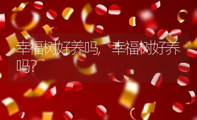 幸福树好养吗,幸福树好养吗？ | 养殖科普