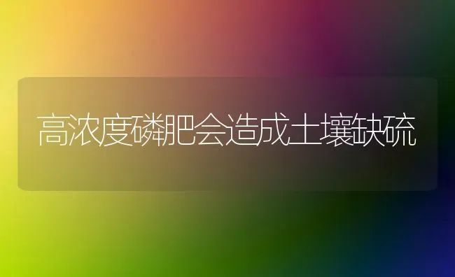 高浓度磷肥会造成土壤缺硫 | 养殖技术大全