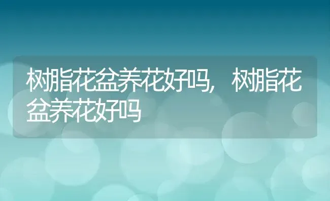 树脂花盆养花好吗,树脂花盆养花好吗 | 养殖科普