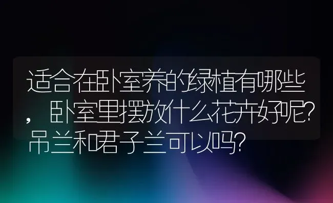 适合在卧室养的绿植有哪些,卧室里摆放什么花卉好呢？吊兰和君子兰可以吗？ | 养殖学堂