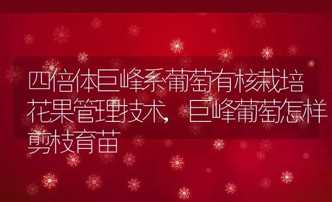 四倍体巨峰系葡萄有核栽培花果管理技术,巨峰葡萄怎样剪枝育苗 | 养殖学堂