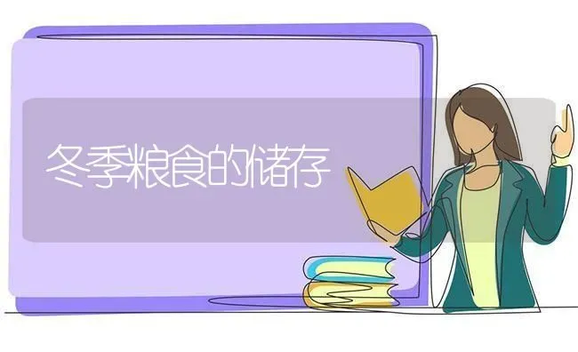 冬季粮食的储存 | 养殖知识