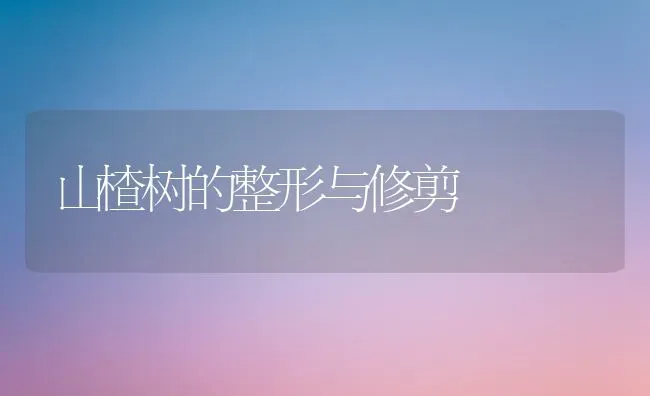 山楂树的整形与修剪 | 养殖知识