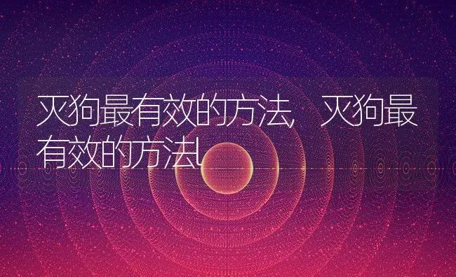 灭狗最有效的方法,灭狗最有效的方法l | 养殖科普