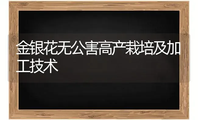 金银花无公害高产栽培及加工技术 | 养殖知识