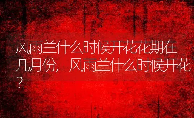 风雨兰什么时候开花花期在几月份,风雨兰什么时候开花？ | 养殖科普