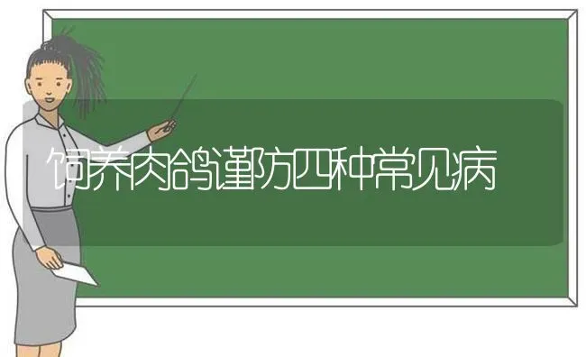 饲养肉鸽谨防四种常见病 | 养殖知识