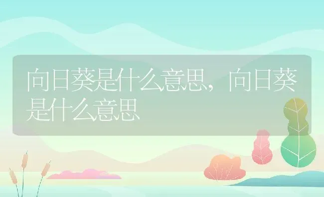 向日葵是什么意思,向日葵是什么意思 | 养殖科普