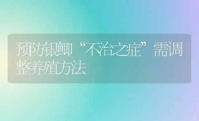 预防银鲫“不治之症”需调整养殖方法 | 养殖知识