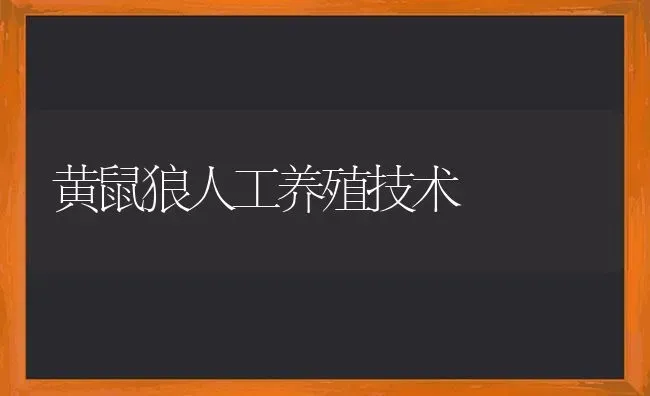 黄鼠狼人工养殖技术 | 养殖技术大全