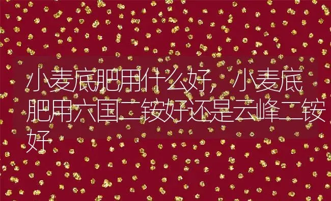 小麦底肥用什么好,小麦底肥用六国二铵好还是云峰二铵好 | 养殖学堂