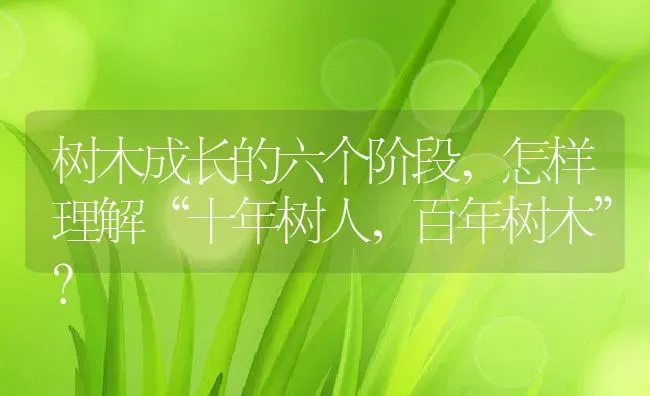 树木成长的六个阶段,怎样理解“十年树人，百年树木”？ | 养殖科普