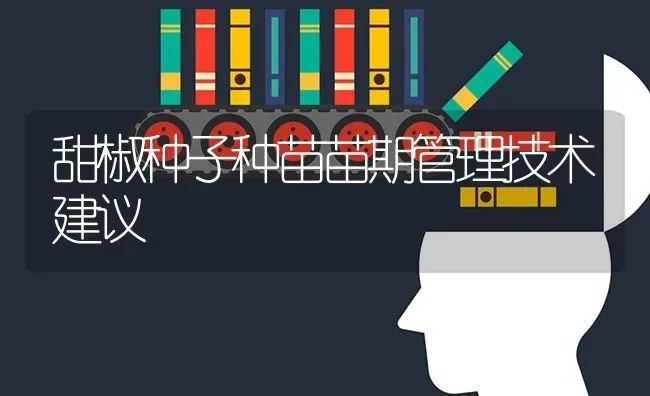 甜椒种子种苗苗期管理技术建议 | 养殖技术大全