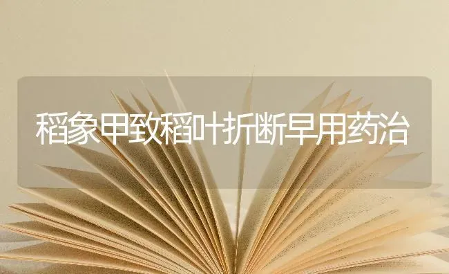 稻象甲致稻叶折断早用药治 | 养殖知识