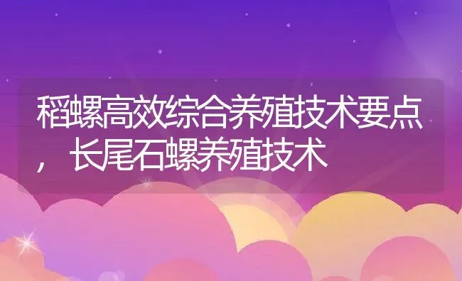 稻螺高效综合养殖技术要点,长尾石螺养殖技术 | 养殖学堂