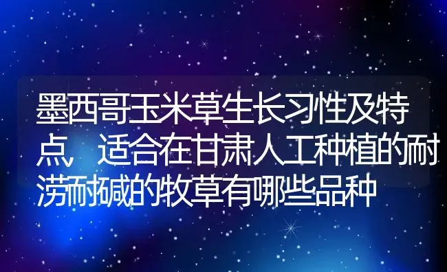 墨西哥玉米草生长习性及特点,适合在甘肃人工种植的耐涝耐碱的牧草有哪些品种 | 养殖学堂