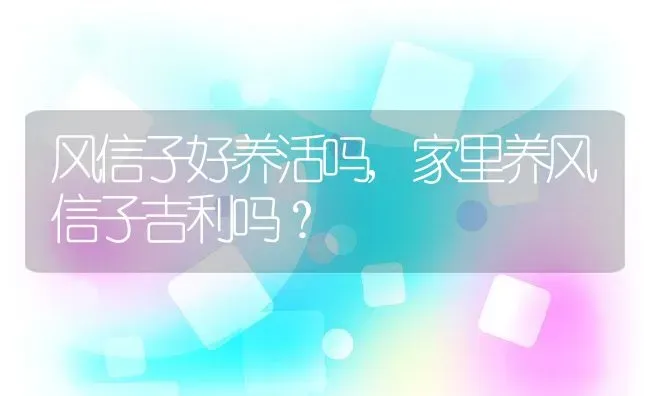 风信子好养活吗,家里养风信子吉利吗？ | 养殖科普