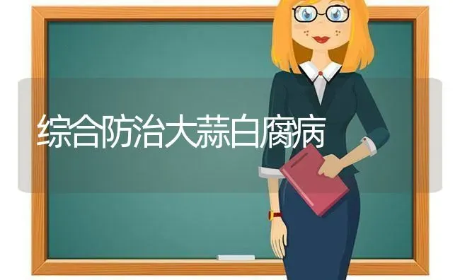 综合防治大蒜白腐病 | 养殖知识