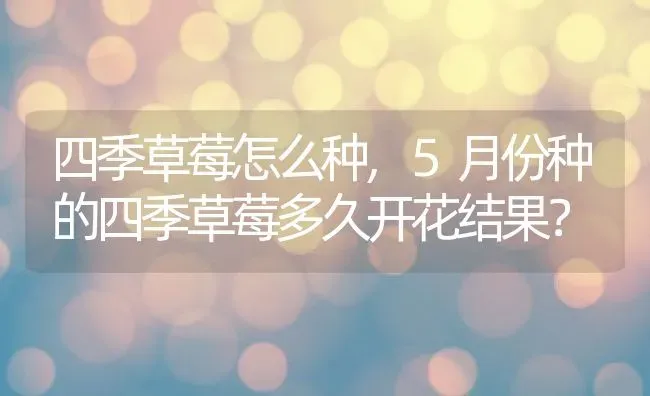 四季草莓怎么种,5月份种的四季草莓多久开花结果？ | 养殖科普