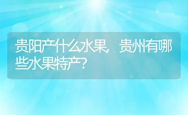 贵阳产什么水果,贵州有哪些水果特产？ | 养殖科普