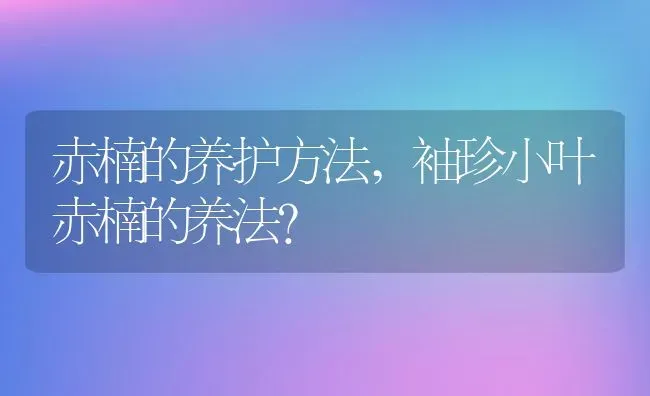 赤楠的养护方法,袖珍小叶赤楠的养法？ | 养殖科普