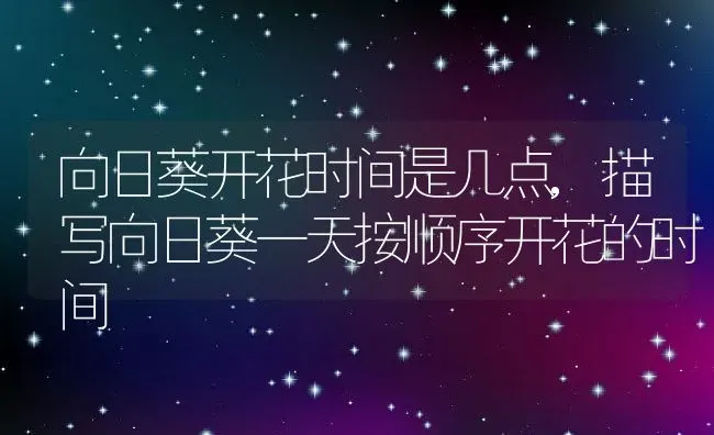 向日葵开花时间是几点,描写向日葵一天按顺序开花的时间 | 养殖学堂