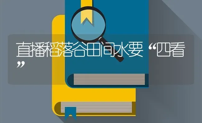 直播稻落谷田间水要“四看” | 养殖技术大全