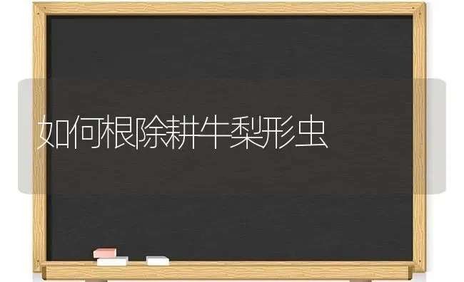 如何根除耕牛梨形虫 | 养殖技术大全