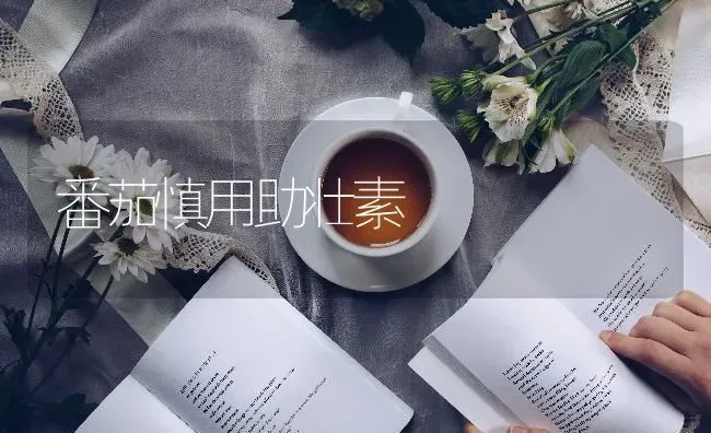 番茄慎用助壮素 | 养殖技术大全