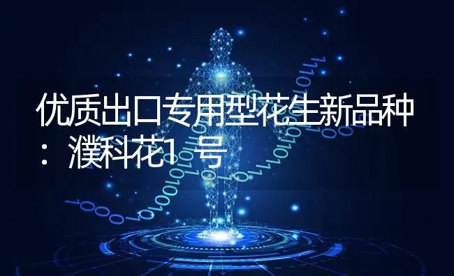 优质出口专用型花生新品种：濮科花1号 | 养殖技术大全