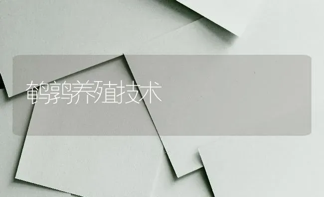 鹌鹑养殖技术 | 养殖知识