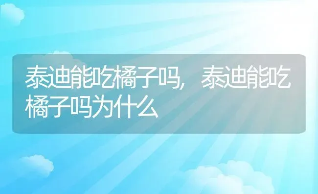 泰迪能吃橘子吗,泰迪能吃橘子吗为什么 | 养殖科普