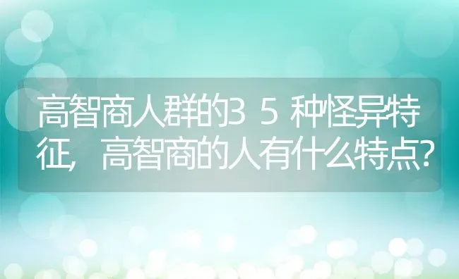 高智商人群的35种怪异特征,高智商的人有什么特点？ | 养殖科普