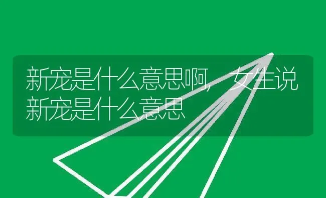 新宠是什么意思啊,女生说新宠是什么意思 | 养殖资料