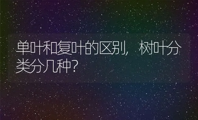 单叶和复叶的区别,树叶分类分几种？ | 养殖科普