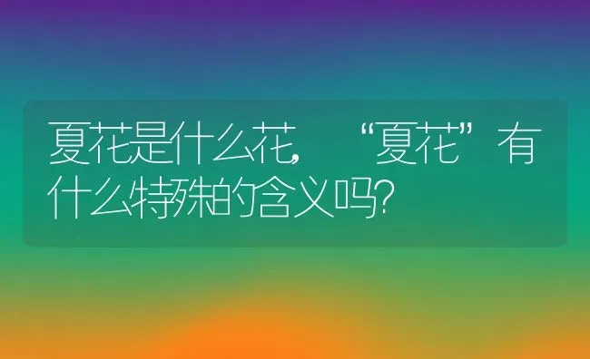 夏花是什么花,“夏花”有什么特殊的含义吗？ | 养殖科普
