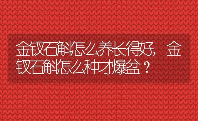 金钗石斛怎么养长得好,金钗石斛怎么种才爆盆？ | 养殖科普